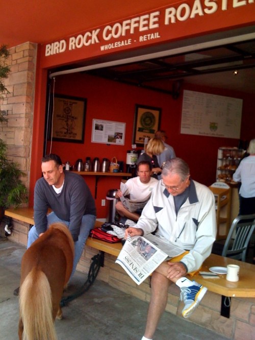 Pony spotting at BRC