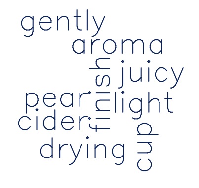 Word Cloud: Segment 4