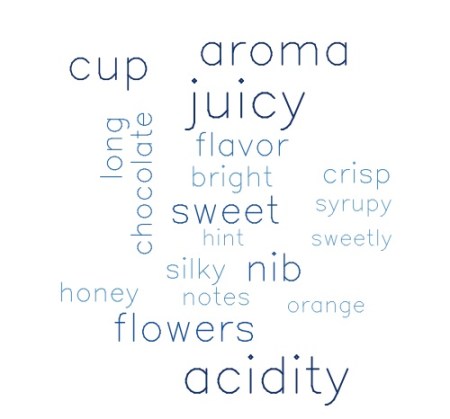 Segment 3: 13.9% of reviews