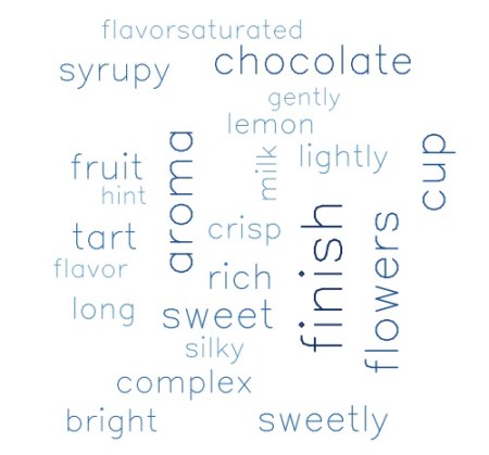 Segment 4: 20.3% of reviews